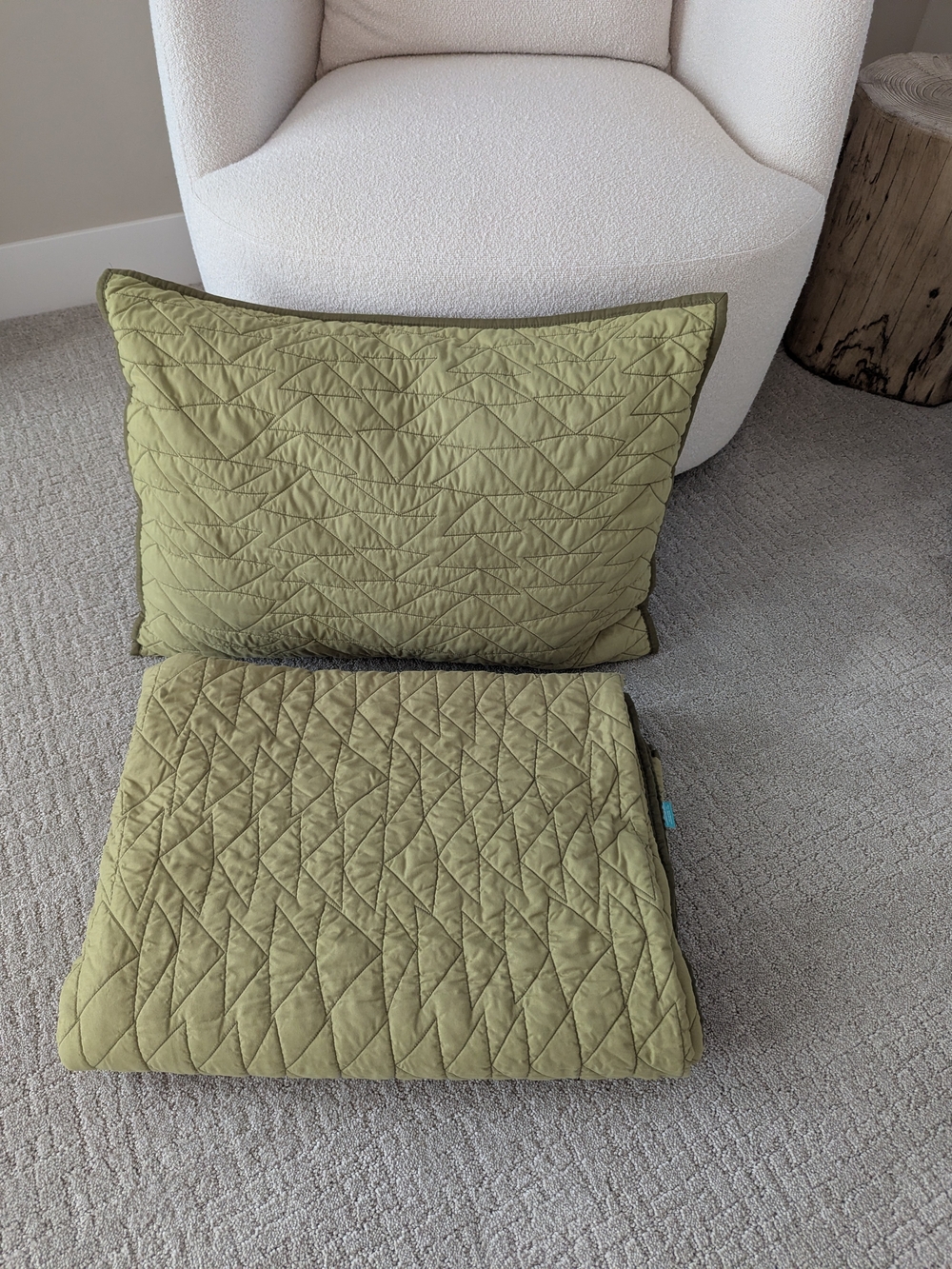 Pillowfort Twin Size Quilt And Standard Sham